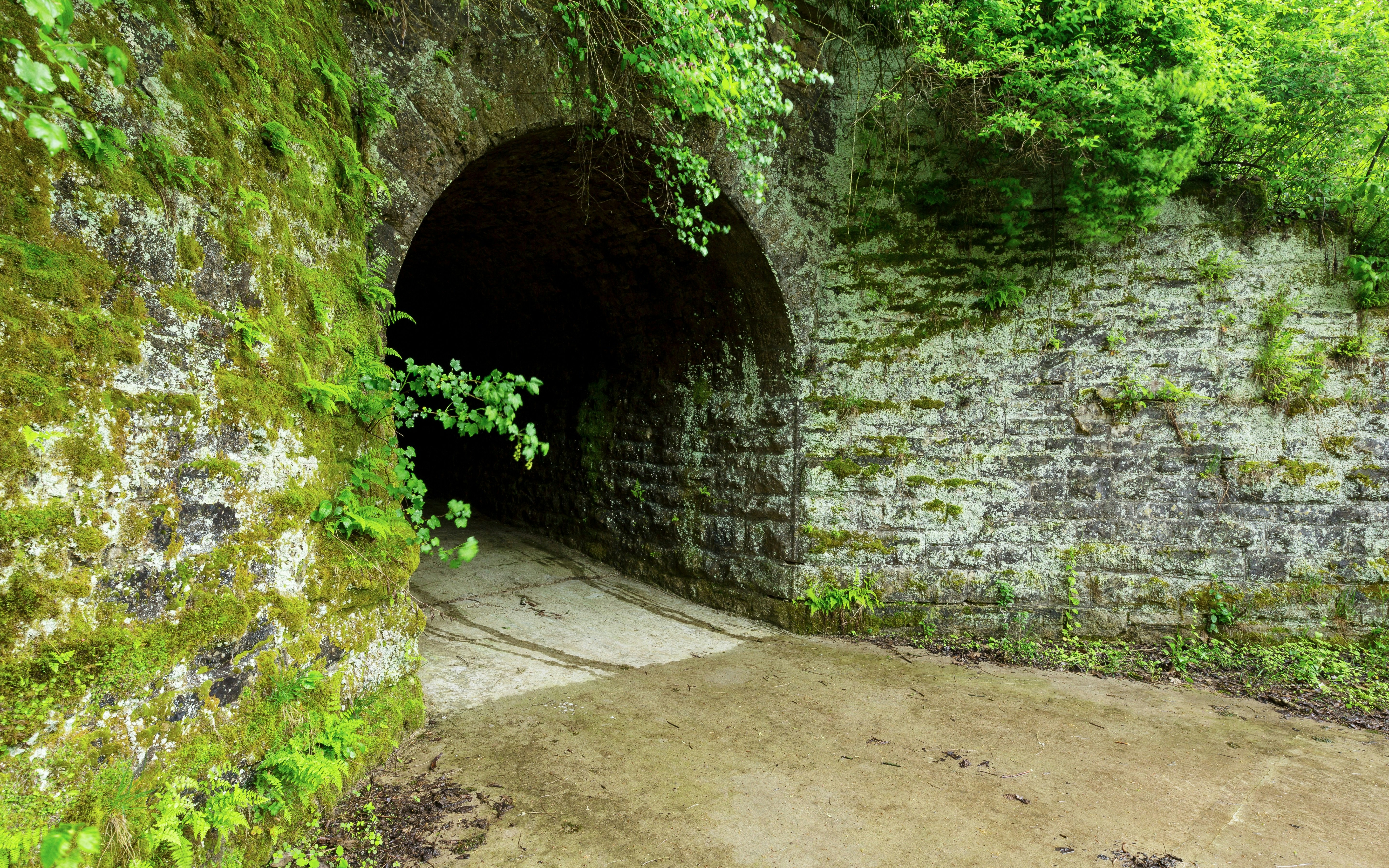 Old stone tunnel entrance covered in moss on a wet spring day.