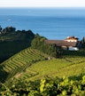 Txakoli-Weingut