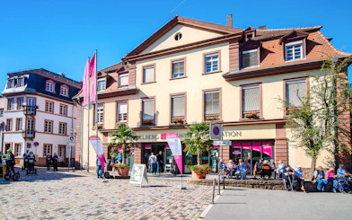 HeidelbergCARD: Access to Heidelberg Castle, Museums, Public Transport & Discounts