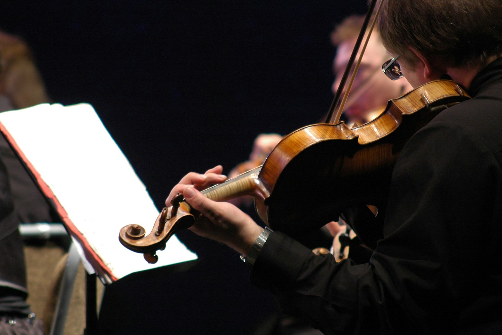 Musicians playing violins at St. Peter's Church concert in Vienna.