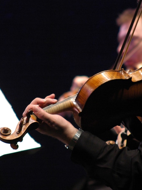 Musicians playing violins at St. Peter's Church concert in Vienna.