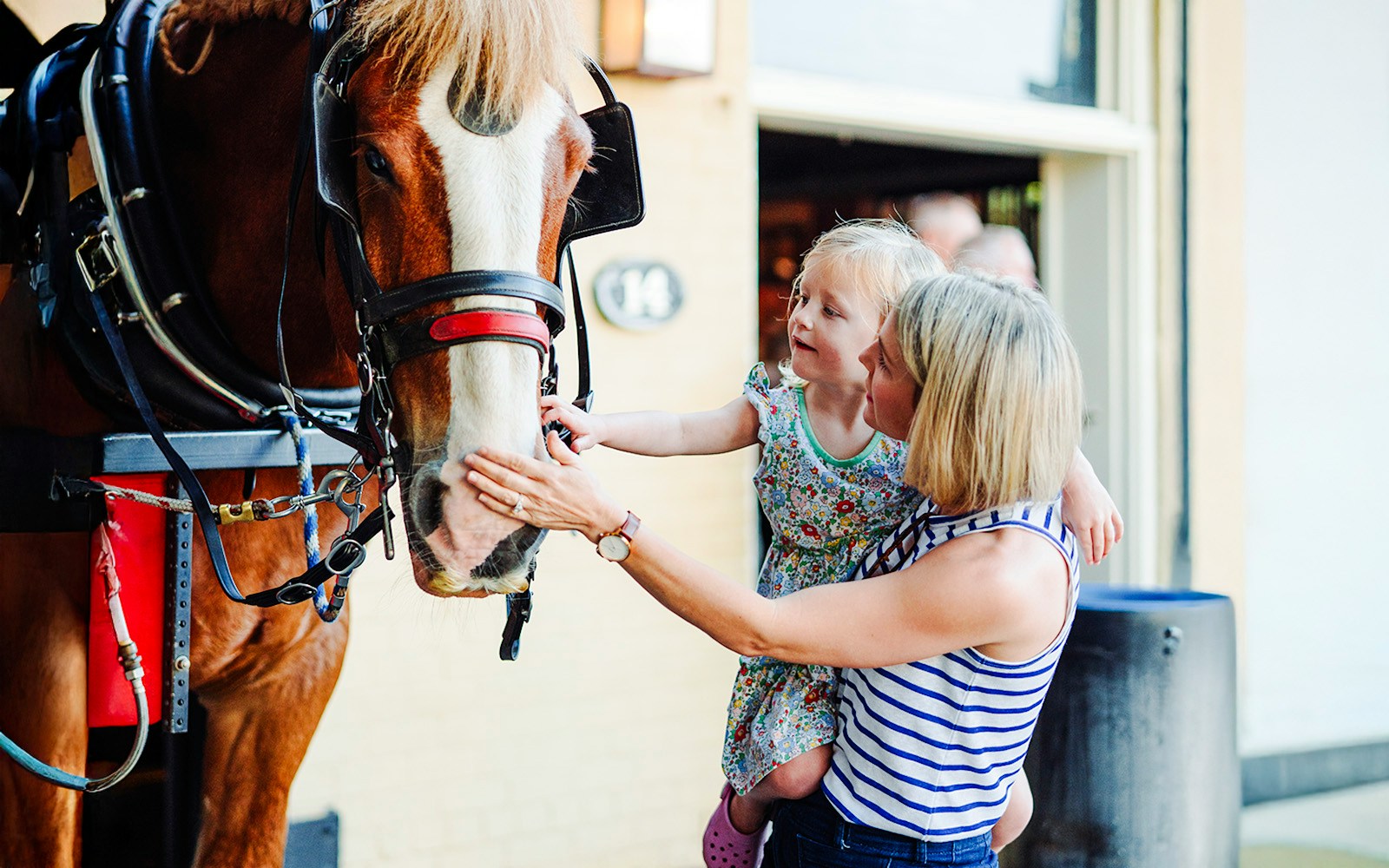 Child and adult petting a horse during a Charleston historic carriage tour.
