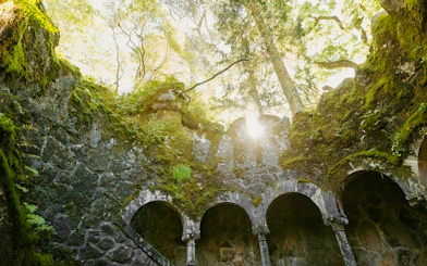 Quinta da Regaleira well with sunlight filtering through moss-covered arches.