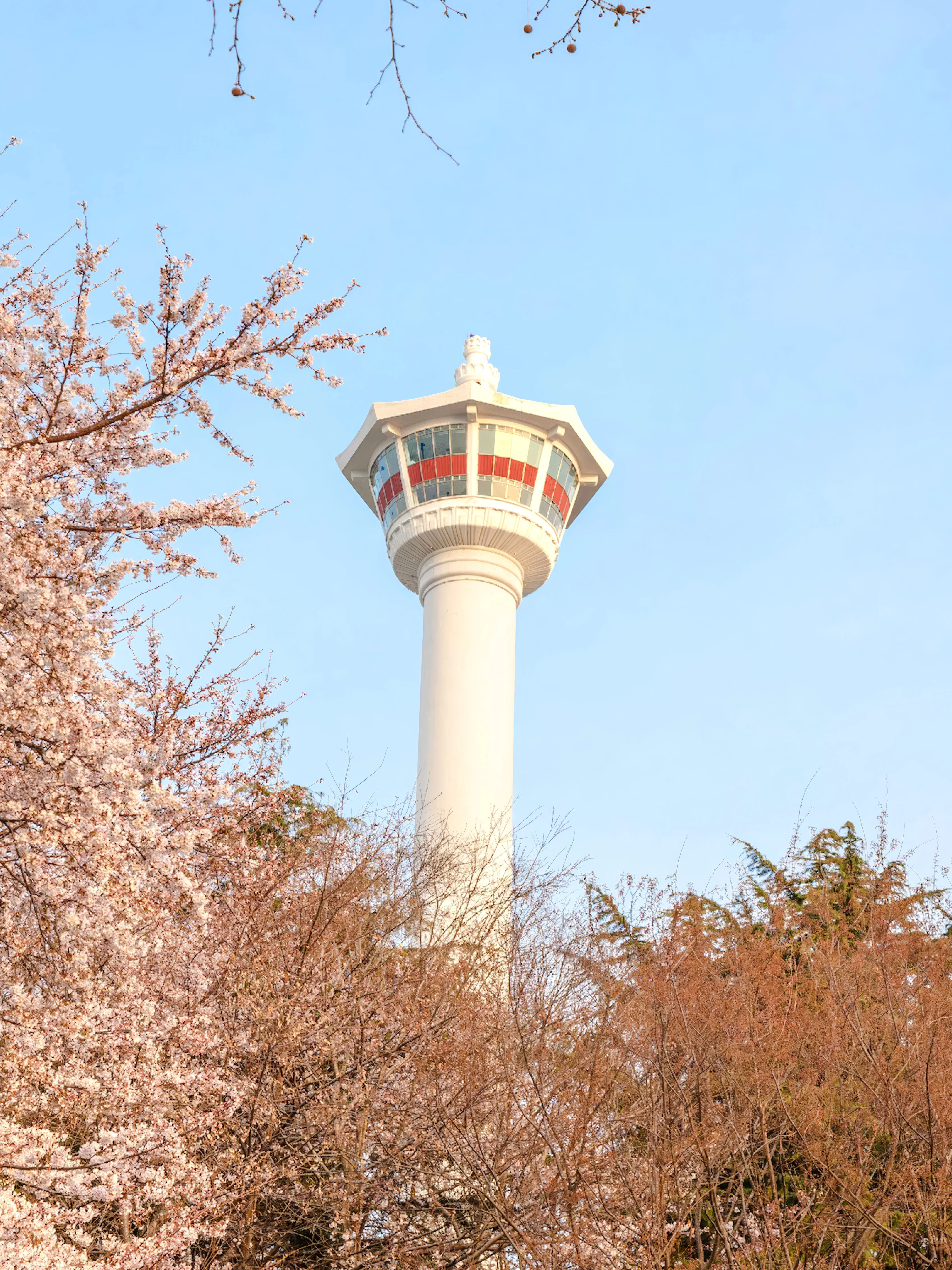 Busan Tower rising above cherry blossoms in Busan, South Korea.
