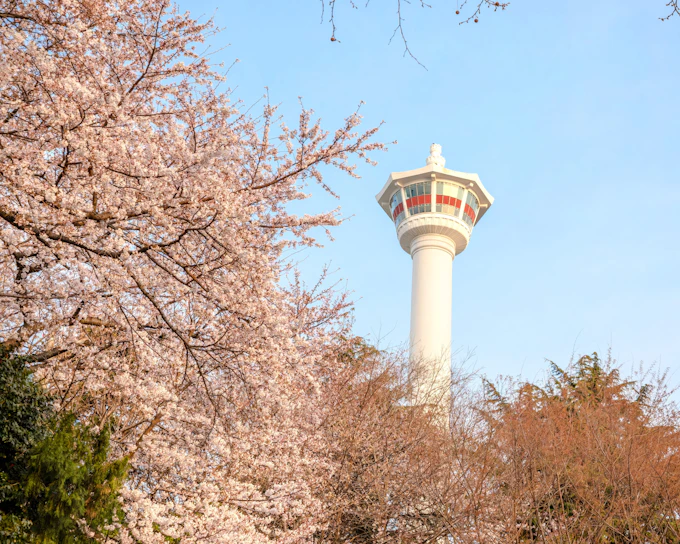 Busan Tower Observatory Entry Tickets