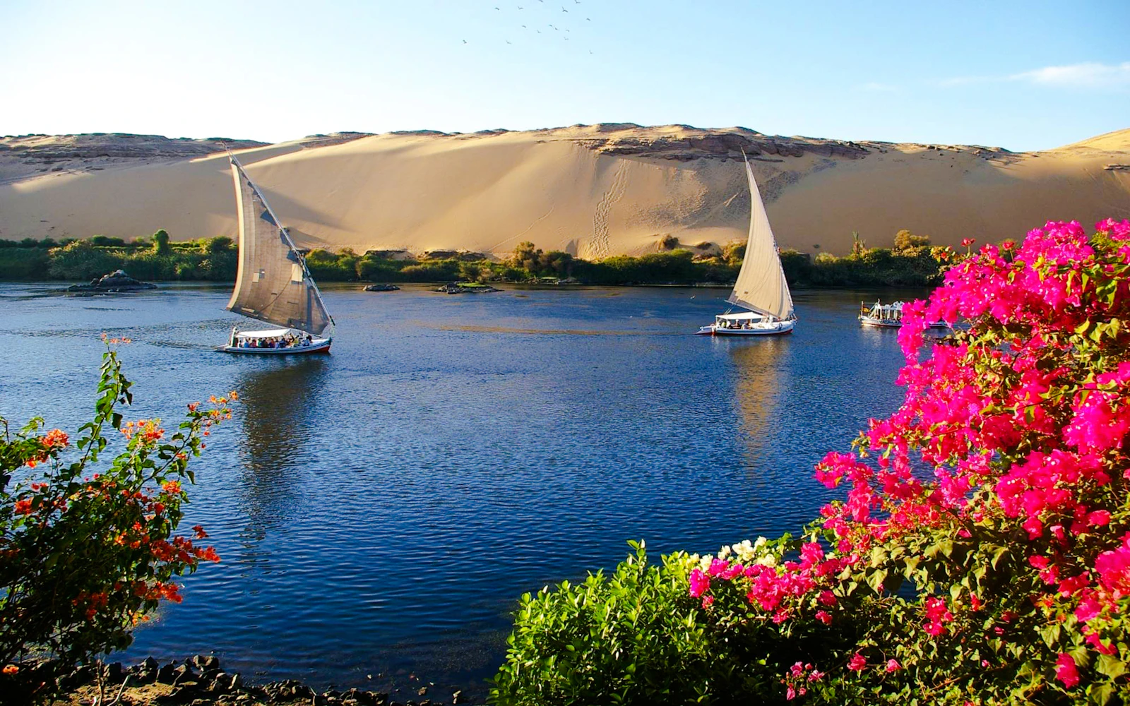 Cairo Private Evening Tour: Khan El Khalili and Al-Hakim Mosque with Dinner and Sunset Felucca Ride