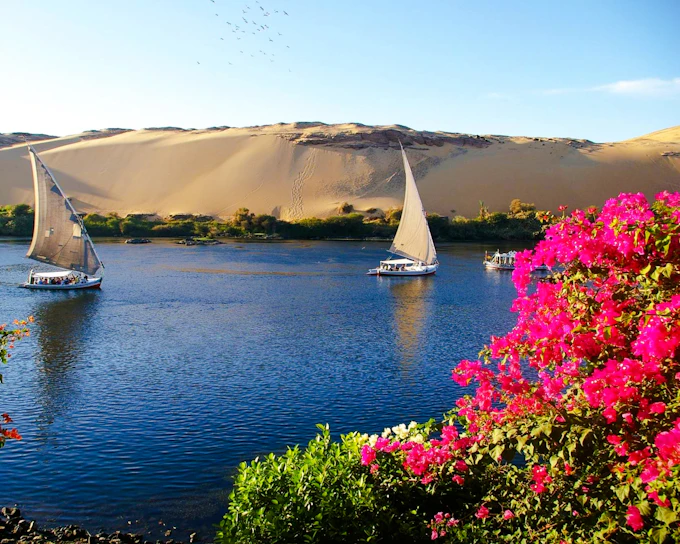Cairo Private Evening Tour: Khan El Khalili and Al-Hakim Mosque with Dinner and Sunset Felucca Ride (Product 52959)
