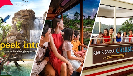 night safari and zoo Night Safari Singapore Tickets