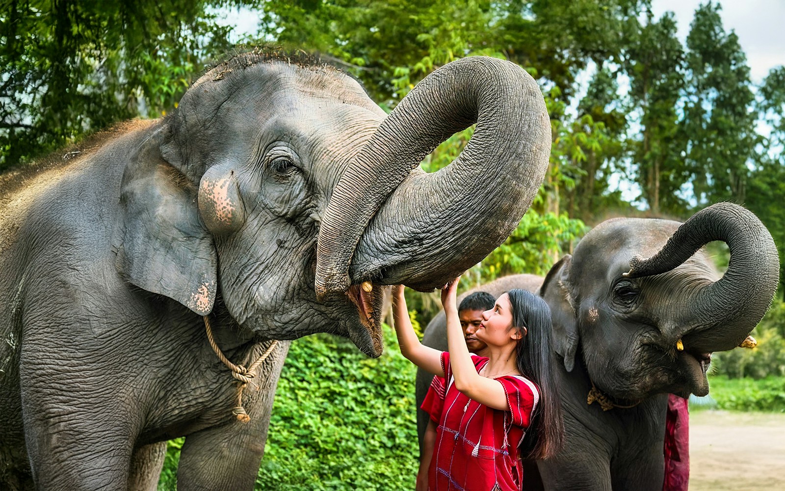 Tourists enjoying a close encounter with the Kerchor Elephant Family in Phuket, Thailand