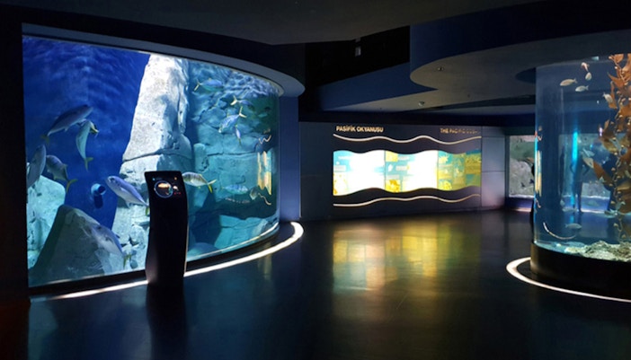 Visitors exploring marine life exhibits at Istanbul Aquarium with ticket and transfer service.