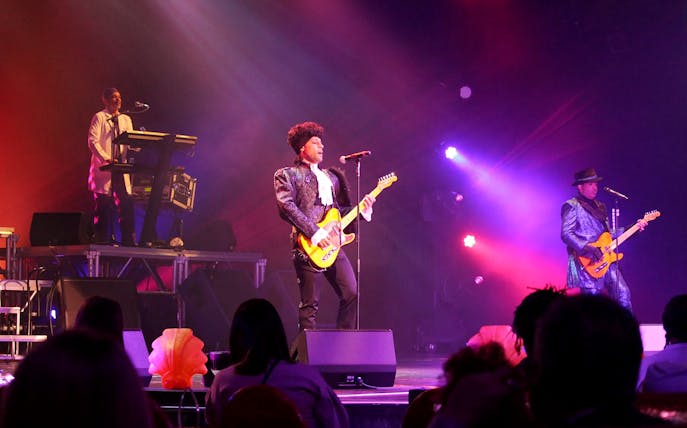 Musicians performing on stage during the Purple Reign tribute show.