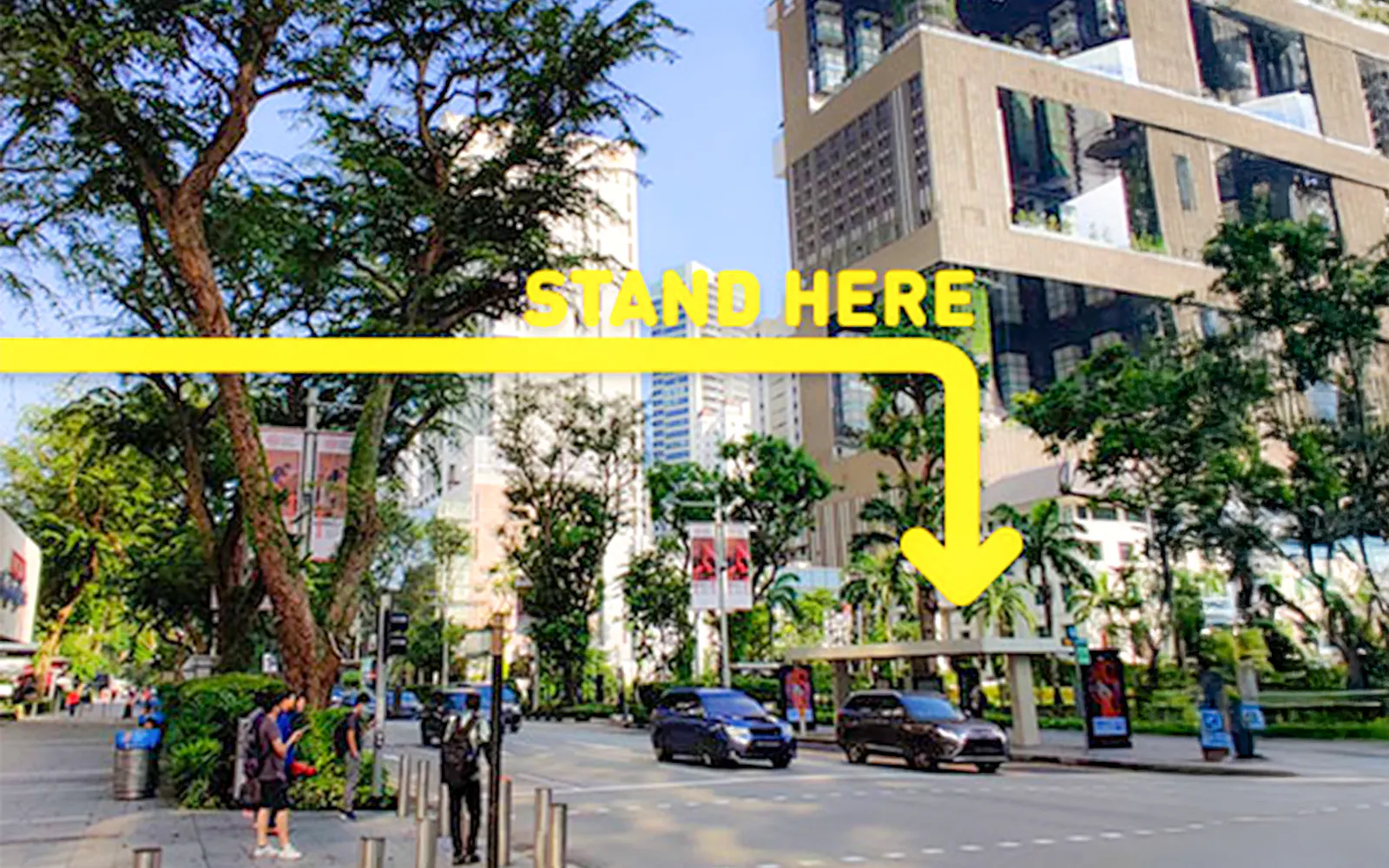 Wheelock Place