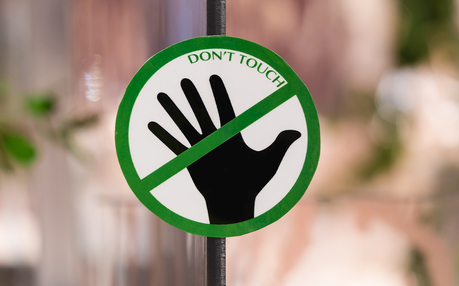 ArtScience Museum plan your visit - rules