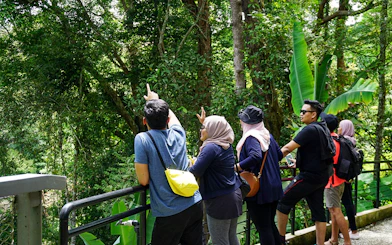 Visitors observing the lush rainforest at Habitat Penang Hill.