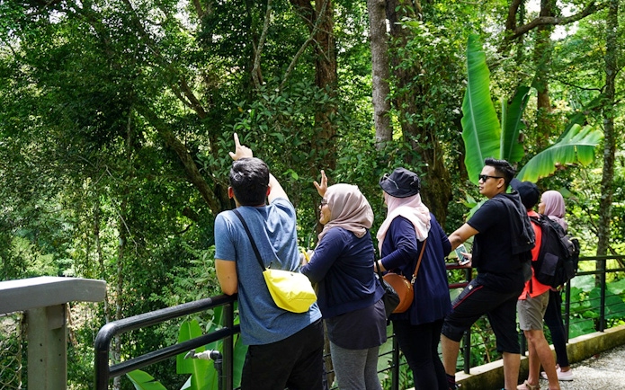 Visitors observing the lush rainforest at Habitat Penang Hill.