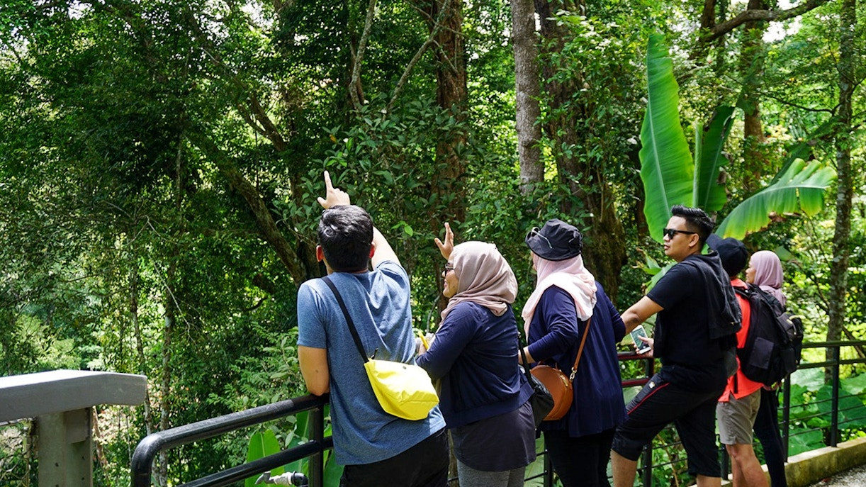Guest exploring the lush greenery and diverse wildlife at Habitat Penang Hill, Malaysia