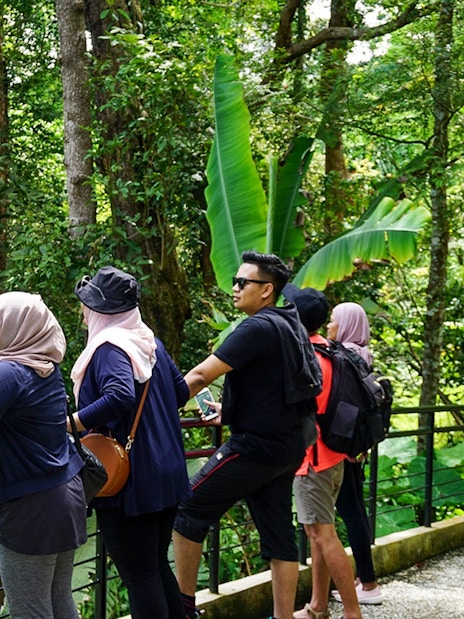 Visitors observing the lush rainforest at Habitat Penang Hill.