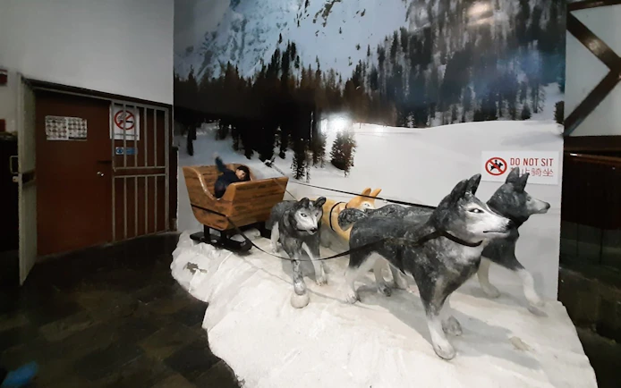Sled display with huskies at Genting Highlands Snow World Theme Park.