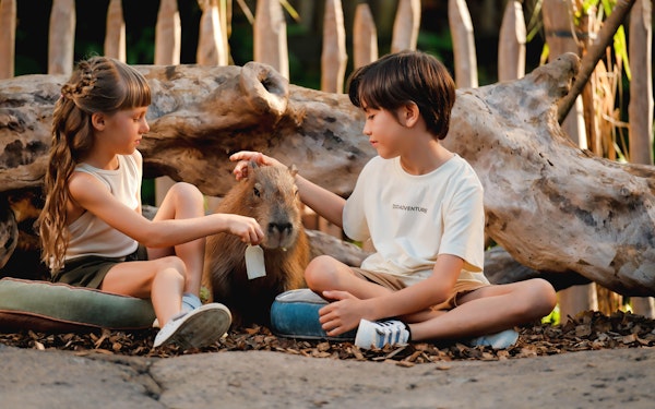 Capybara Interaction & Optional Brunch with Bali Zoo Tickets