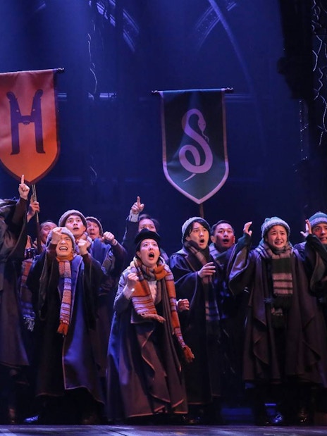 Enthusiastic cast performing in Harry Potter and the Cursed Child, holding house banners on stage.