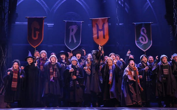 Enthusiastic cast performing in Harry Potter and the Cursed Child, holding house banners on stage.
