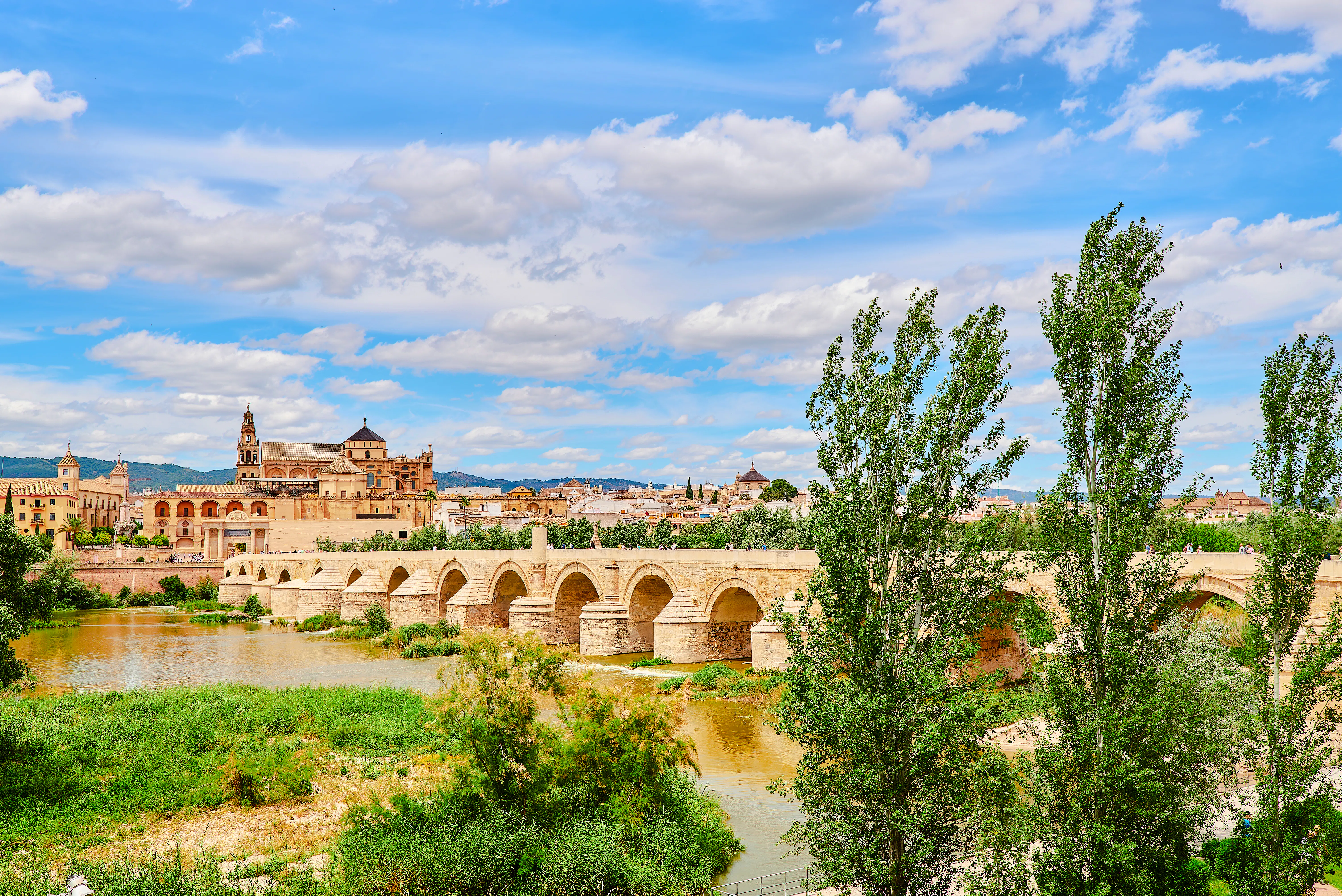 Panorámica del Río	