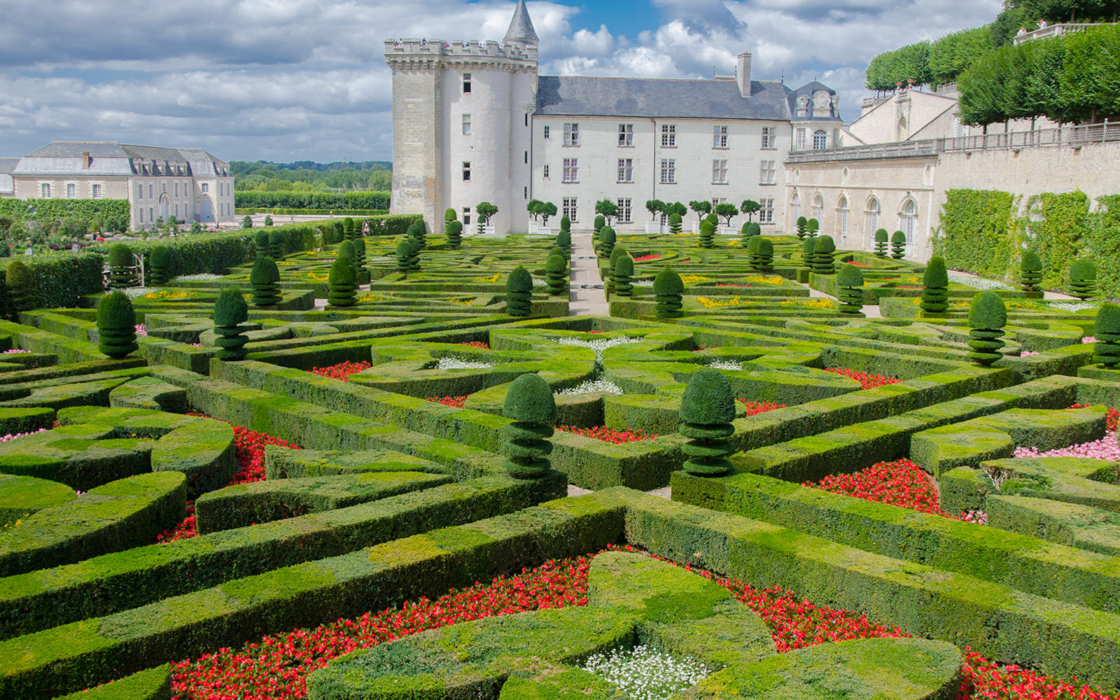 Villandry gardens with intricate hedges and flowers, part of the Villandry, Azay-le-Rideau & Vouvray tour.
