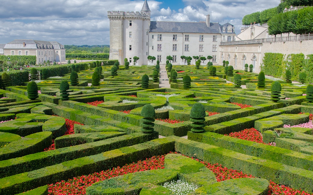 Villandry gardens with intricate hedges and flowers, part of the Villandry, Azay-le-Rideau & Vouvray tour.