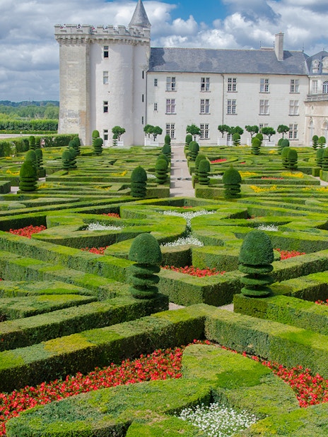Villandry gardens with intricate hedges and flowers, part of the Villandry, Azay-le-Rideau & Vouvray tour.