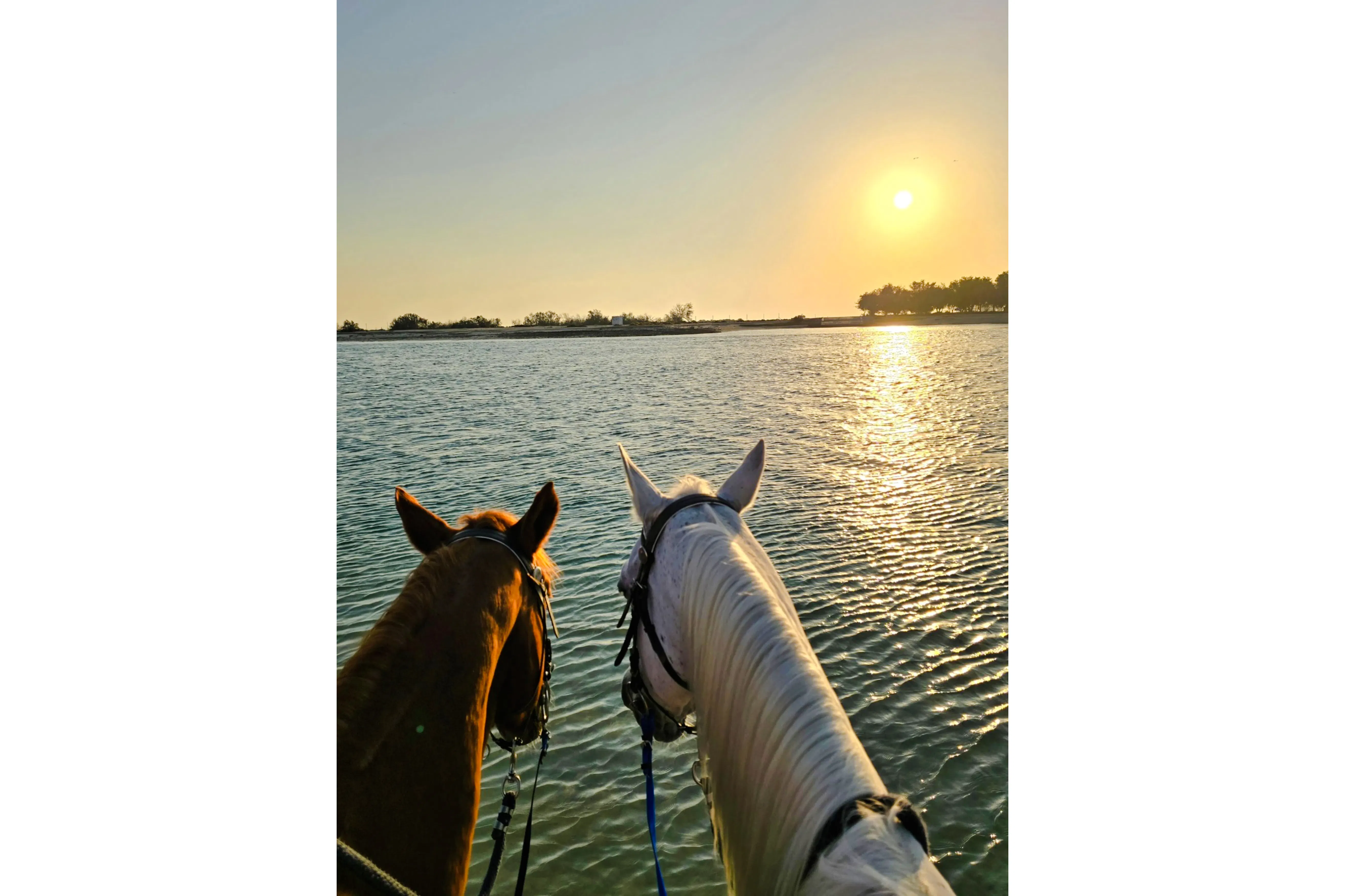 turer på stranden i dubai med privat piknik for to-9