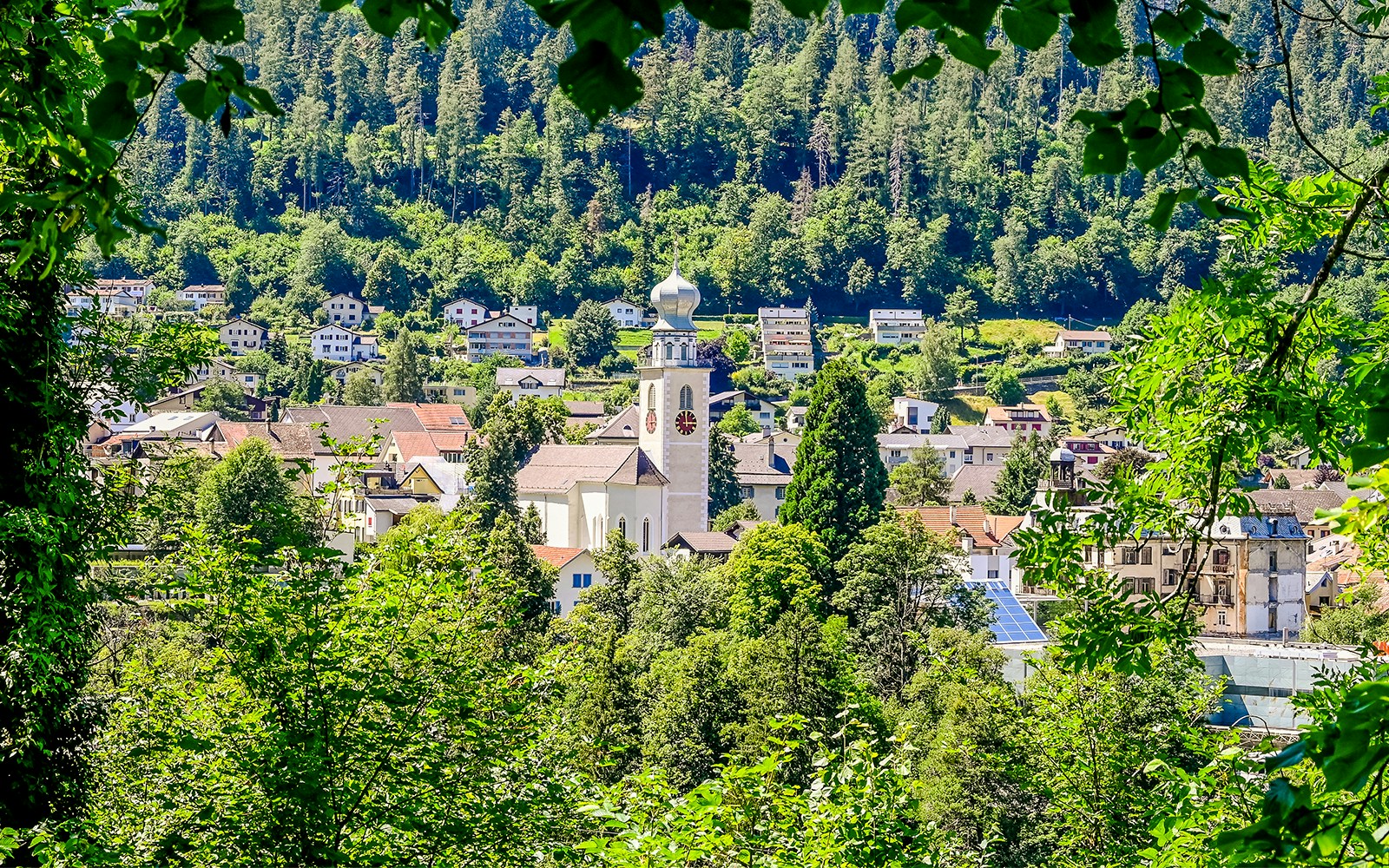 Townhouse in Thusis, covered in thick lush green grass