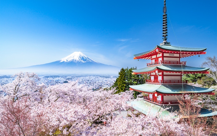Pagoda with cherry blossoms and Mt. Fuji view from Arakurayama Sengen Park, Japan.