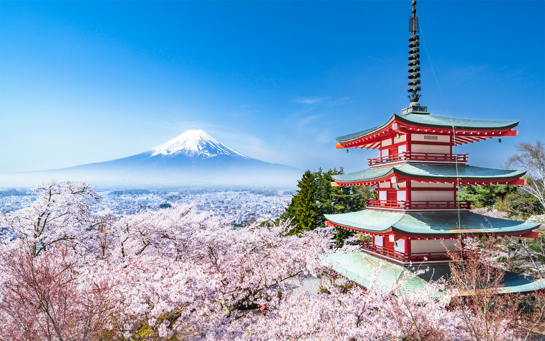 Mt. Fuji view from Arakurayama Sengen Park with cherry blossoms, Lake Kawaguchi tour