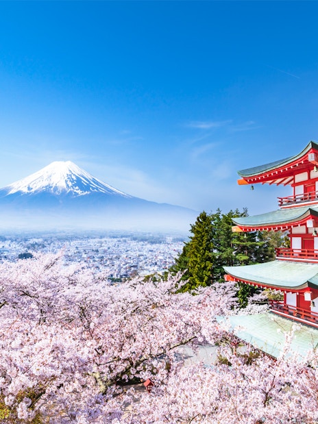Pagoda with cherry blossoms and Mt. Fuji view from Arakurayama Sengen Park, Japan.
