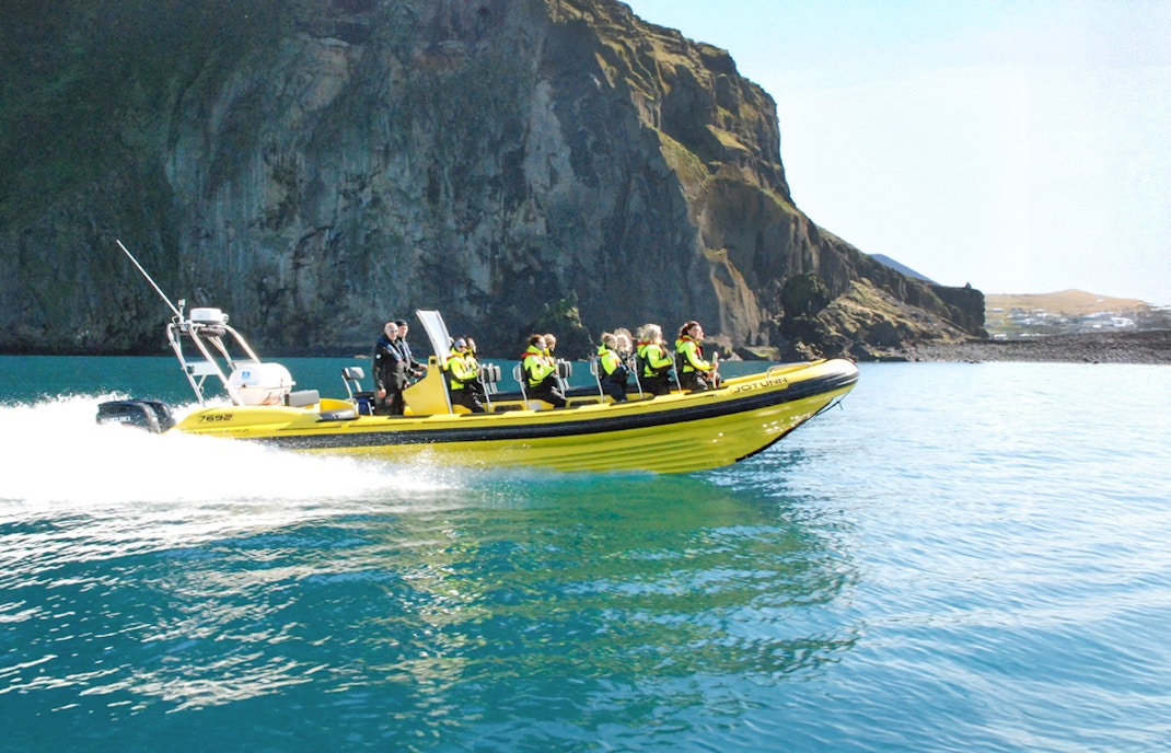 Whale watching RIB speedboat tour in Reykjavik with guests observing marine life.