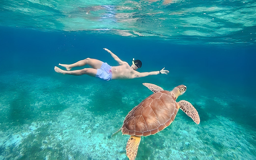 Snorkeler swimming with a turtle during a catamaran tour from Cancún to Isla Mujeres, Mexico.