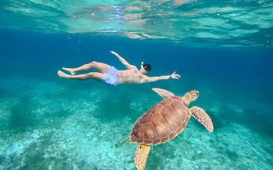 Snorkeler swimming with a turtle during a catamaran tour from Cancún to Isla Mujeres, Mexico.