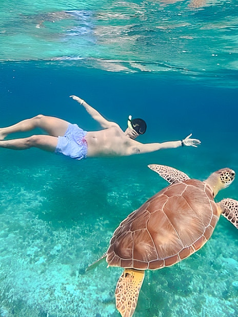 Snorkeler swimming with a turtle during a catamaran tour from Cancún to Isla Mujeres, Mexico.