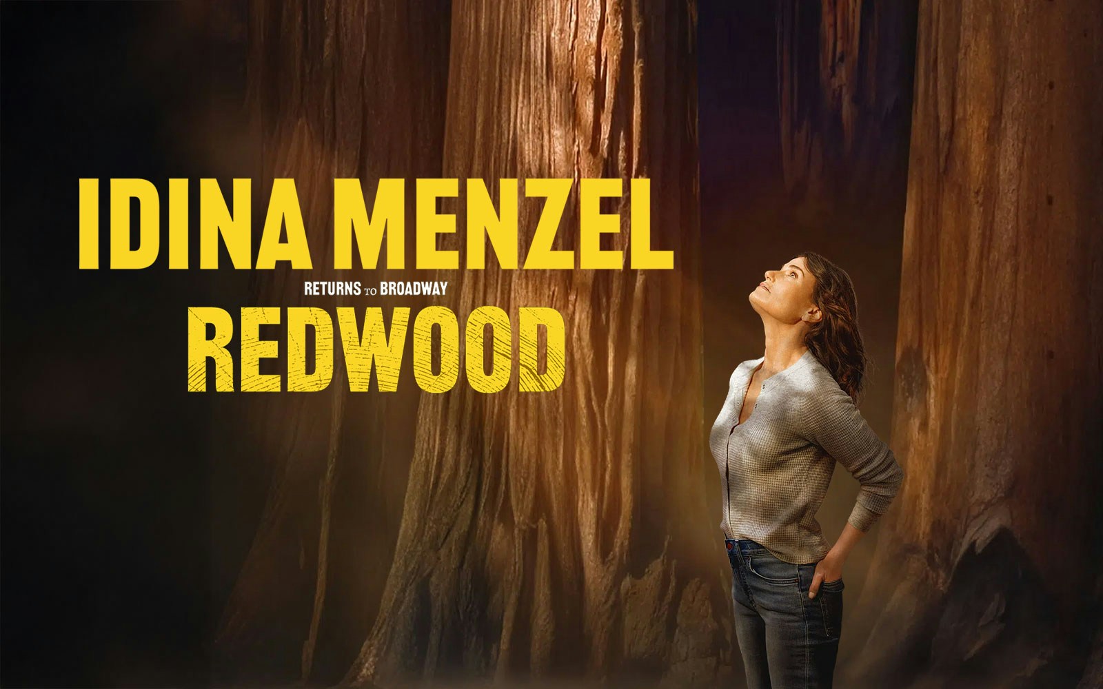 Person looking up at towering redwood trees