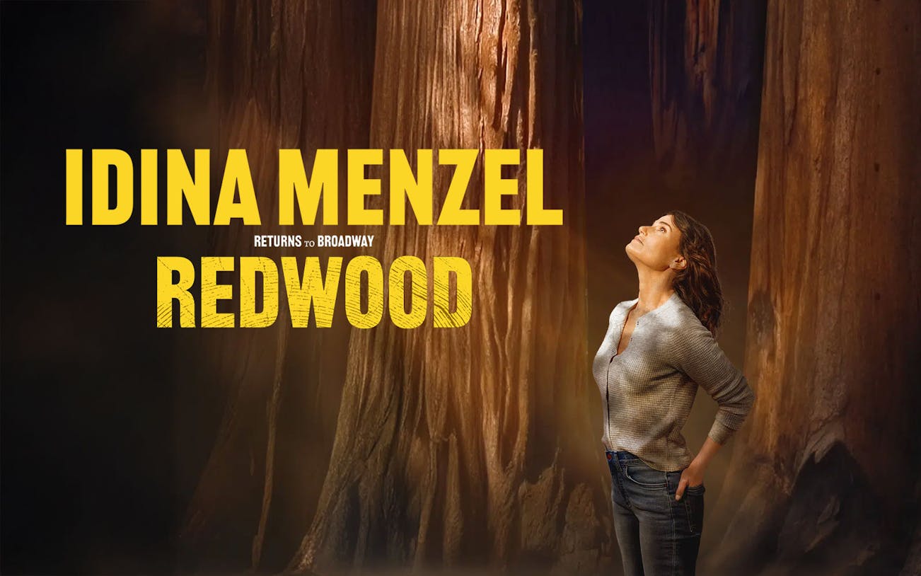 Person looking up at towering redwood trees