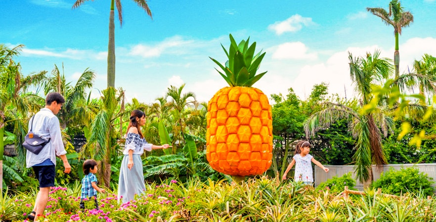 Nago Pineapple Park