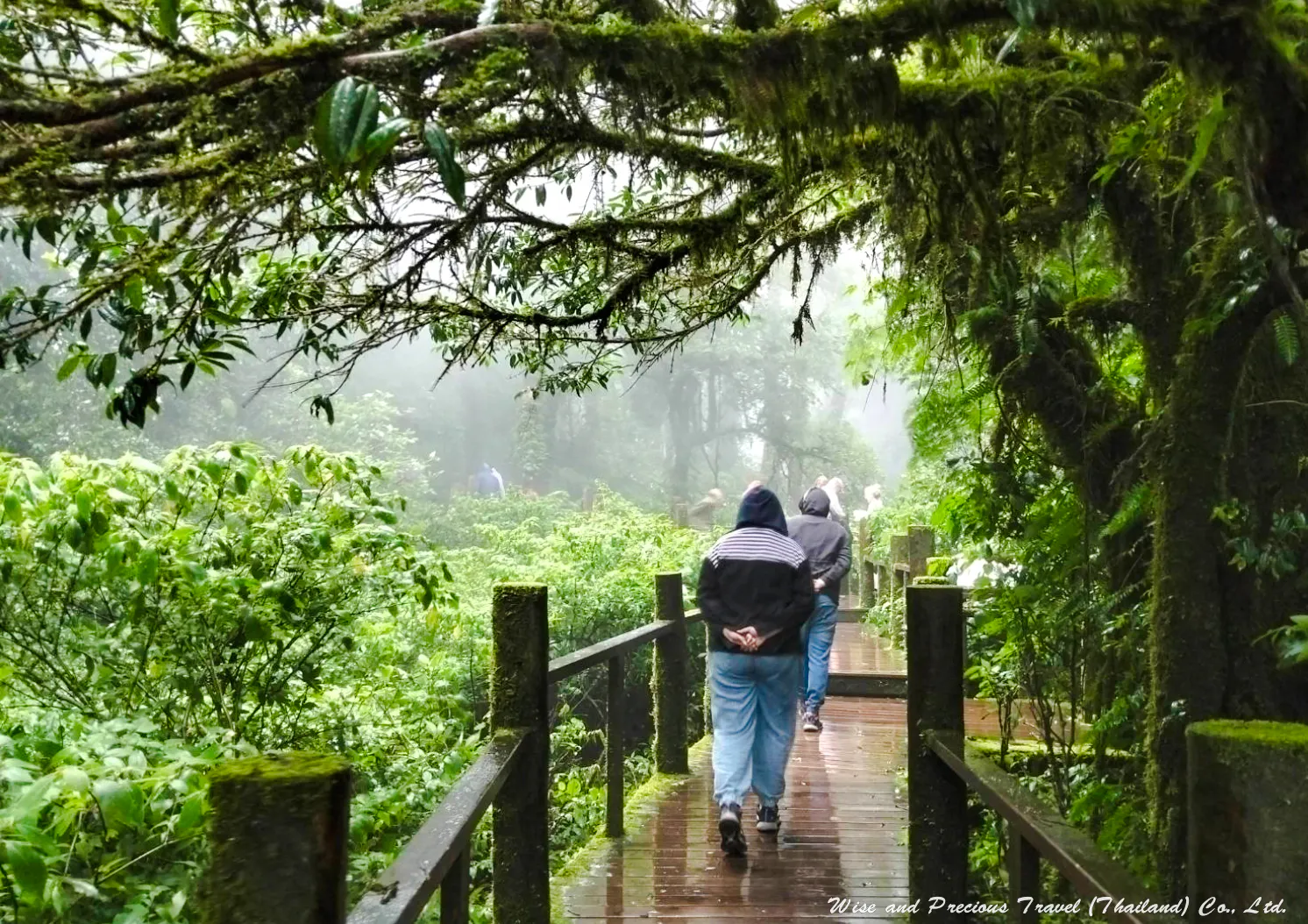 From Chiang Mai: Doi Inthanon National Park Private Tour