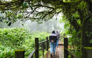 From Chiang Mai: Doi Inthanon National Park Private Tour