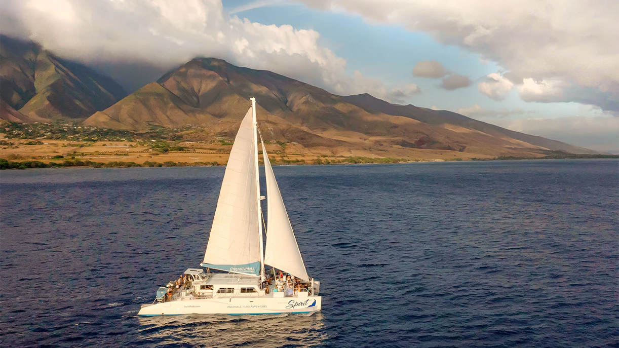 Catamaran sailing at sunset during whale watching tour in Maui, Hawaii.