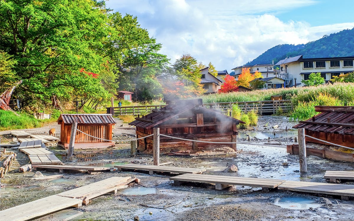 nikko toshogu shrine and kegon waterfall tour from tokyo-7 nikko toshogu shrine and kegon waterfall tour from tokyo-7