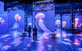 Visitors exploring jellyfish projections at Atelier des Lumières Planète Océan exhibition.