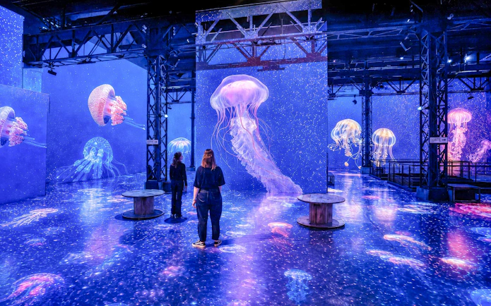 Visitors exploring jellyfish projections at Atelier des Lumières Planète Océan exhibition.