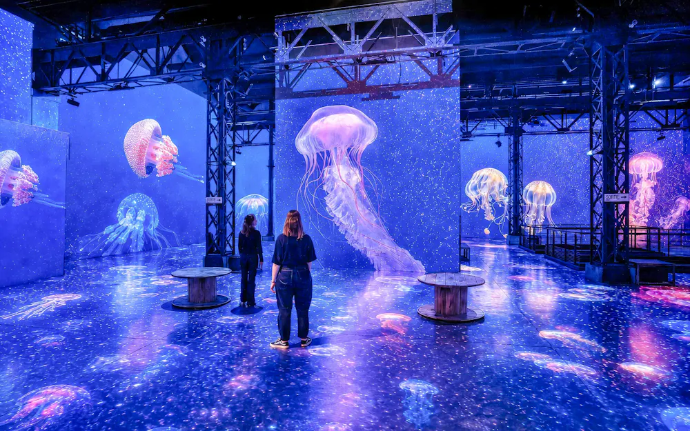 Entradas para el Atelier des Lumières: Experiencia inmersiva