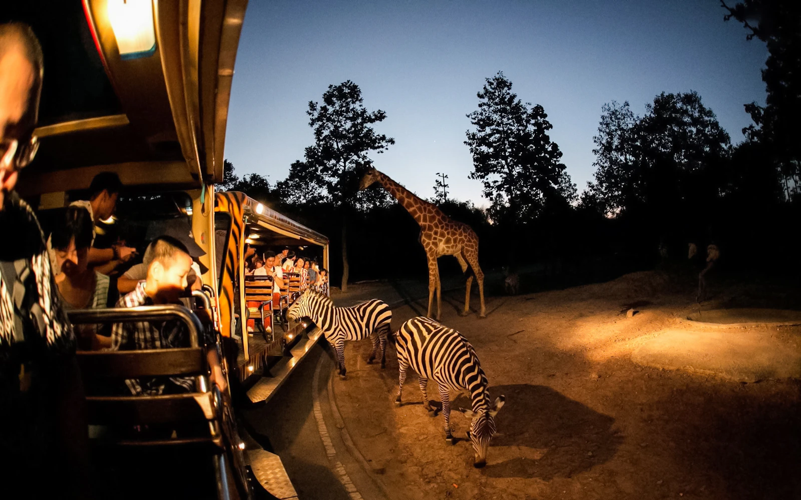 Chiang Mai Night Safari Tickets with Tram Rides Image 3
