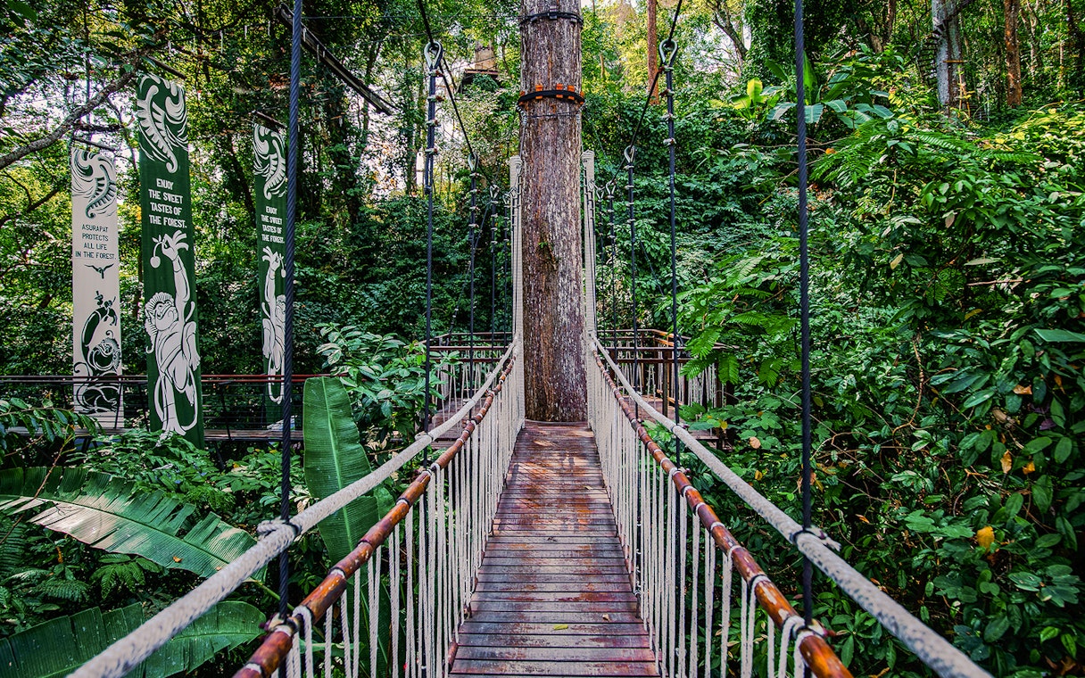 Skywalk at Hanuman World surrounded by lush forest vegetation.